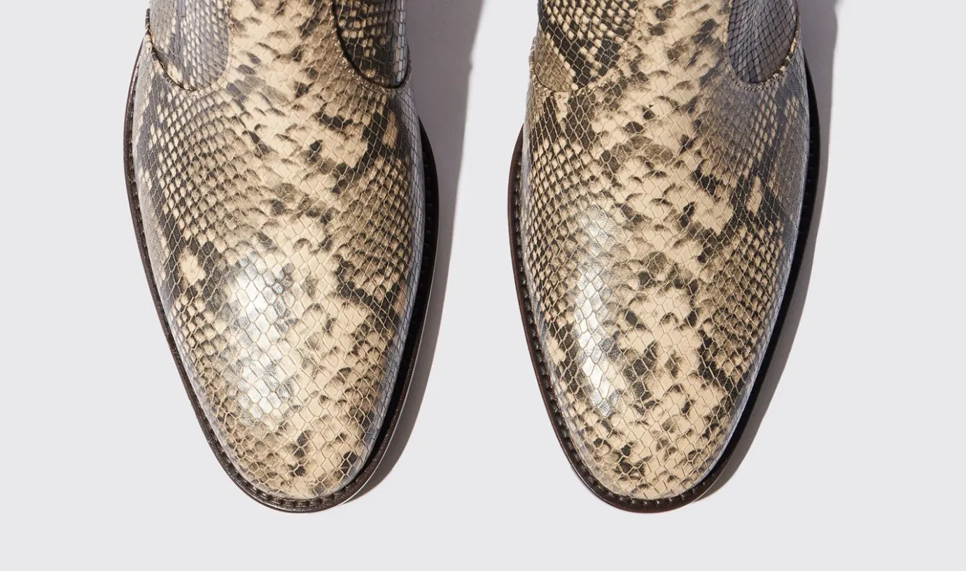 Manner Scarosso Warren Python